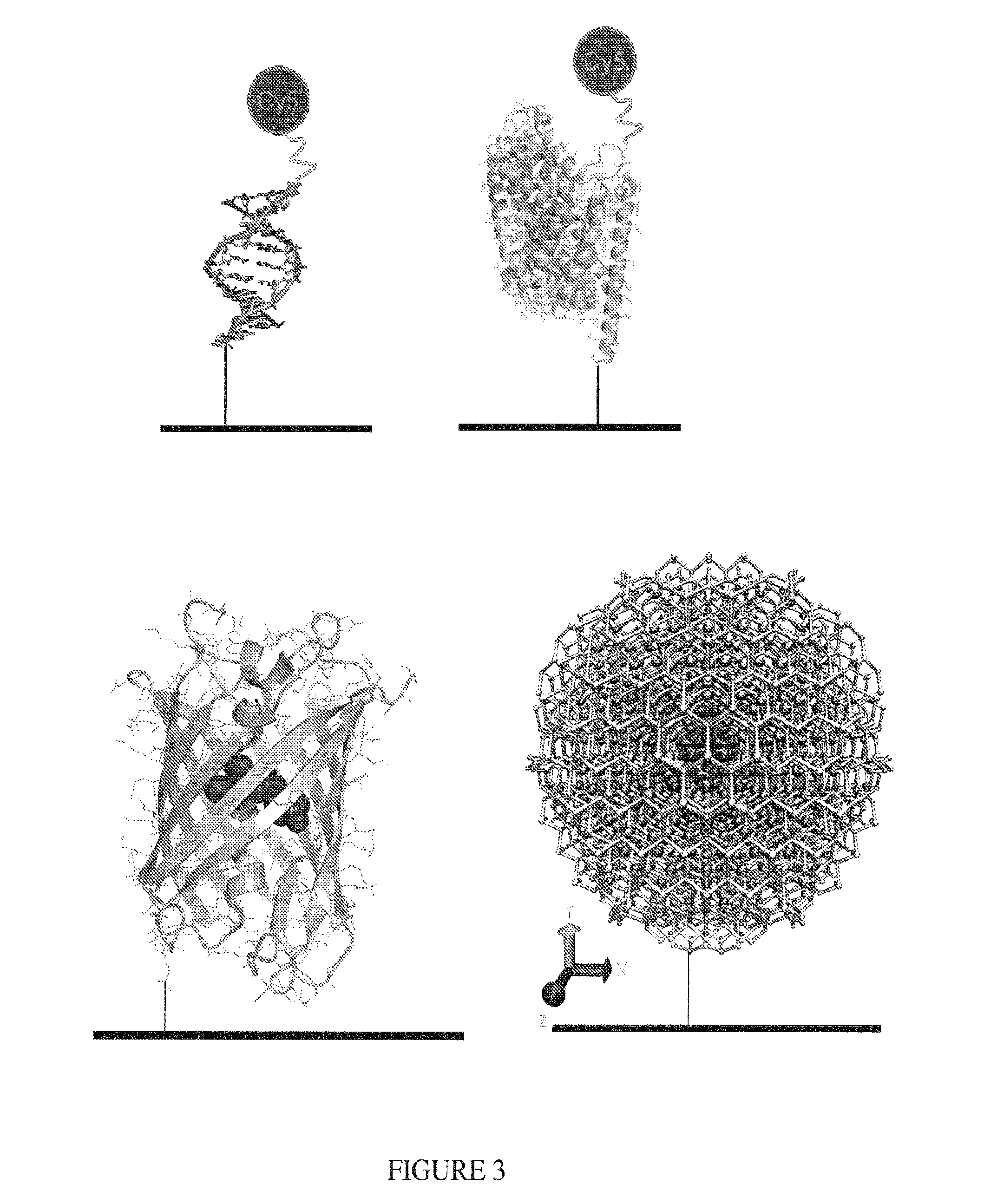 Methods and compositions for altering photophysical properties of fluorophores via proximal quenching