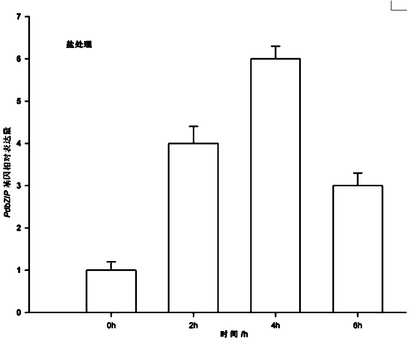 Populus deltoids*populus nigra basic-domain leucine-zipper (PdbZIP) gene and application thereof