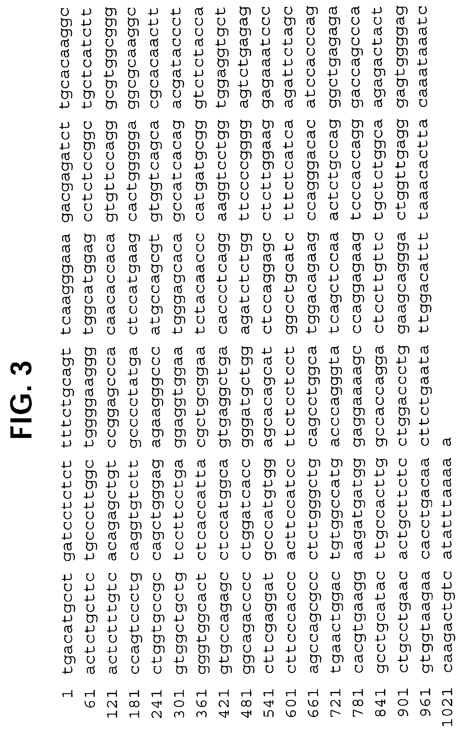 Novel receptor TREM (triggering receptor expressed on myeloid cells) and uses thereof