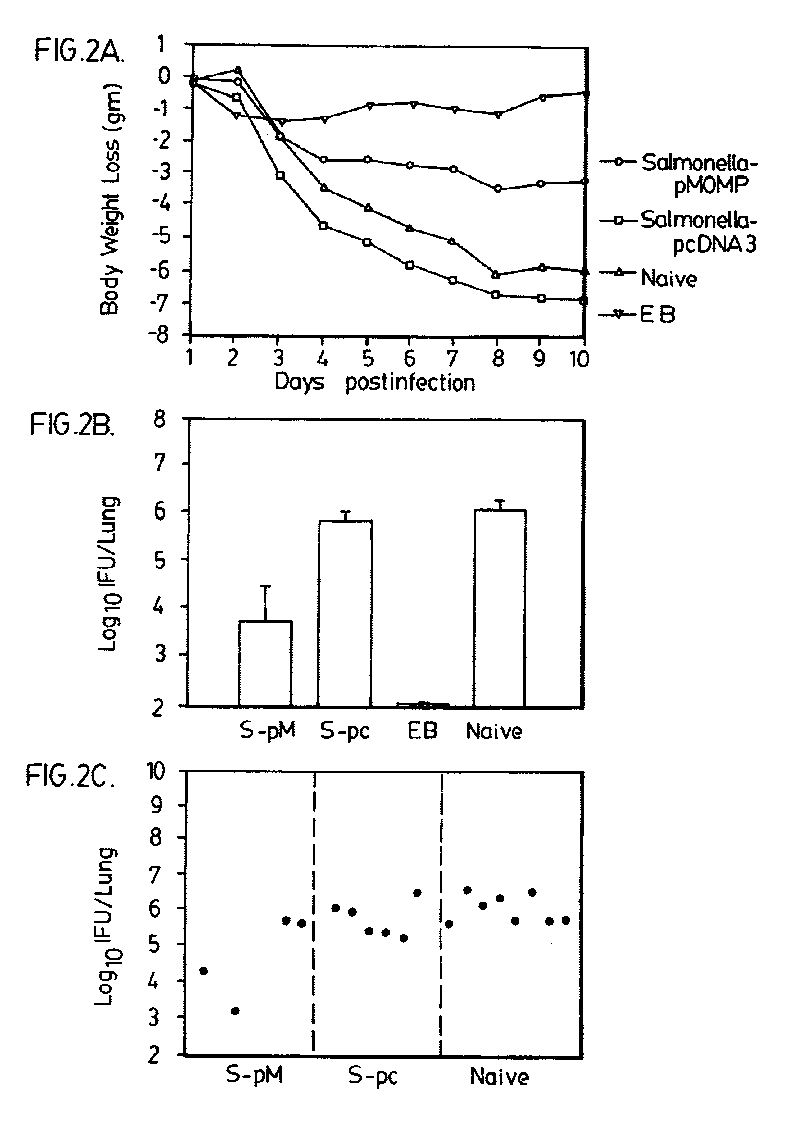 Two-step immunization procedure against Chlamydia infection