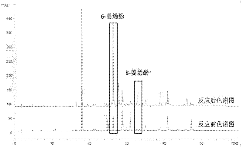 A preparation method of shogaol extract and its medical application