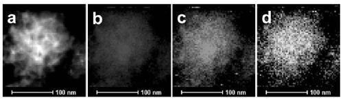 A kind of nitrogen-doped graphene and its preparation method and application