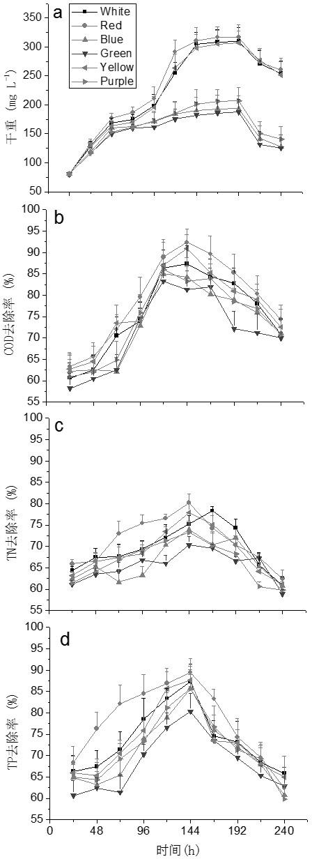 Artificial light source adjusting method utilizing chlorella to purify pig manure waste water