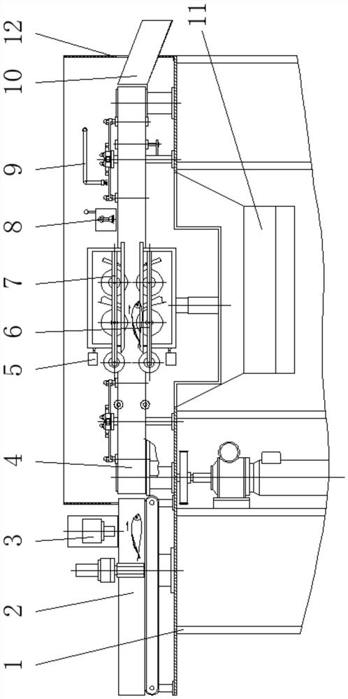 Fish viscera removing processing intelligent equipment and method capable of automatically identifying belly and back orientation of fish body