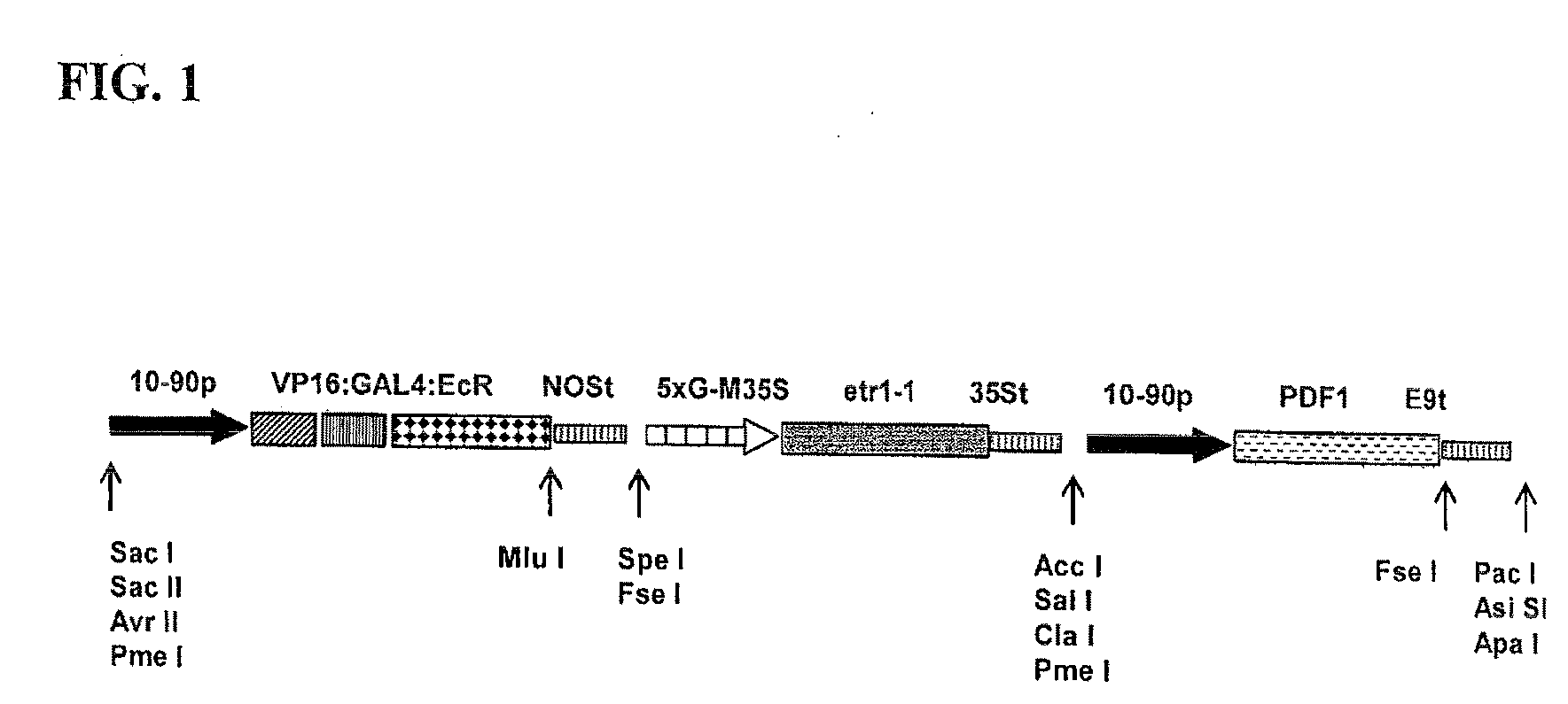 Compositions and methods for the modification of physiological responses in plants