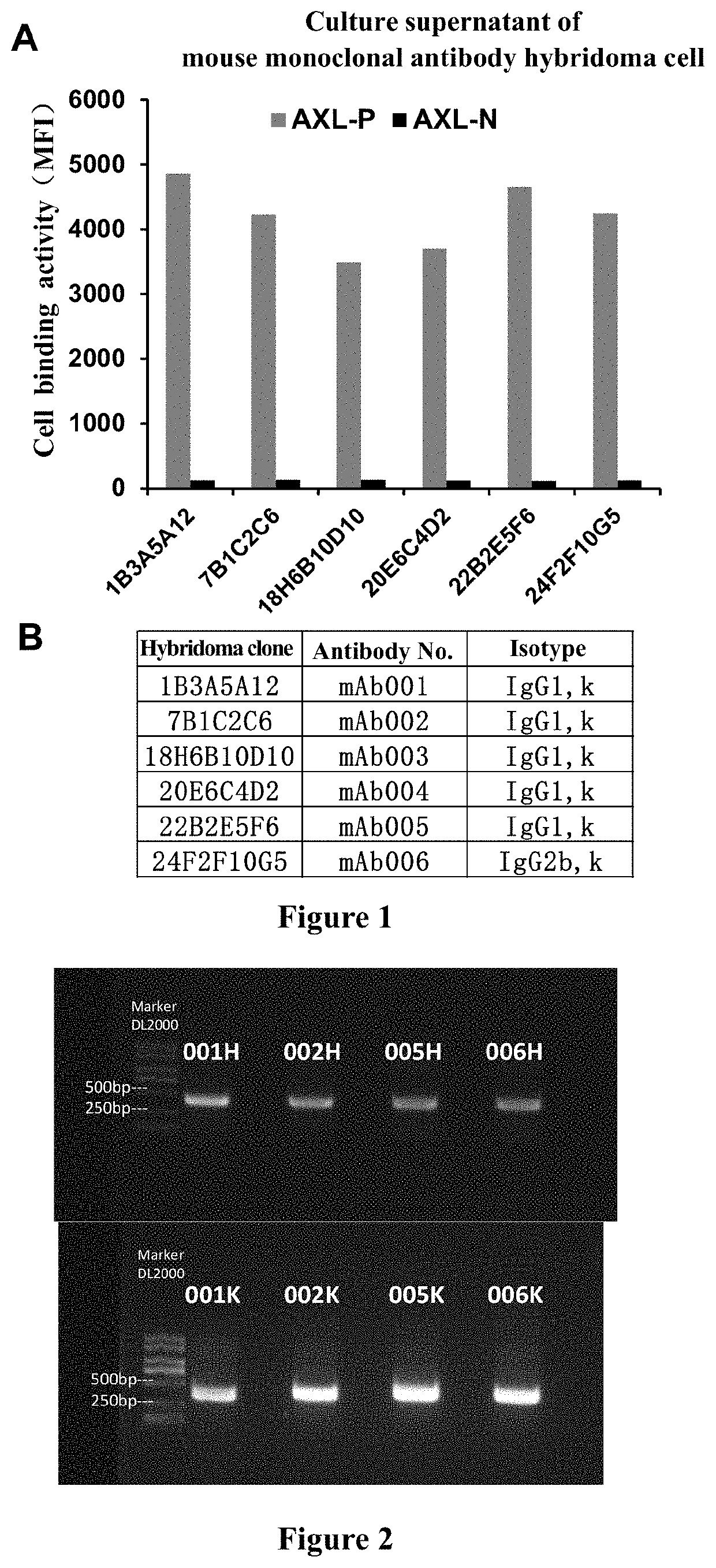 Axl-targeting antibody, antibody-drug conjugate, preparation method therefor, and use thereof