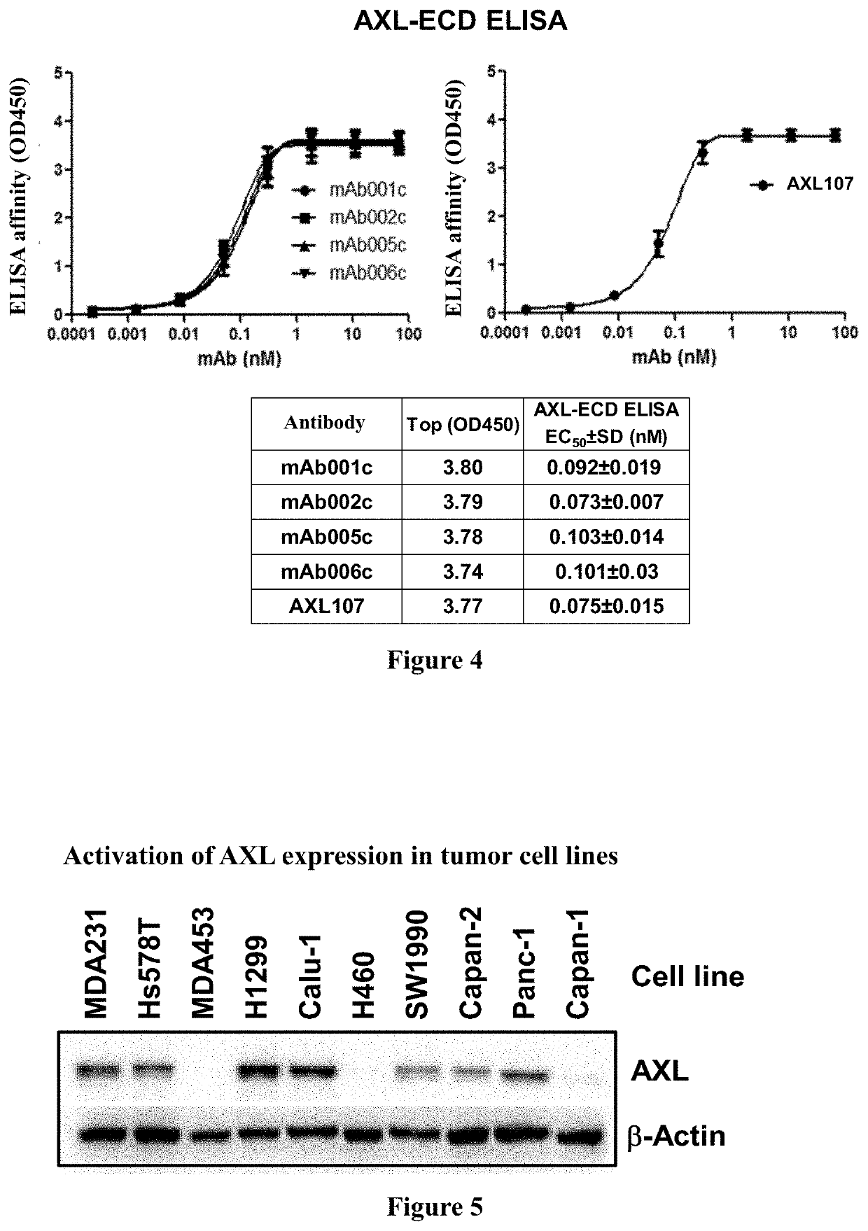 Axl-targeting antibody, antibody-drug conjugate, preparation method therefor, and use thereof