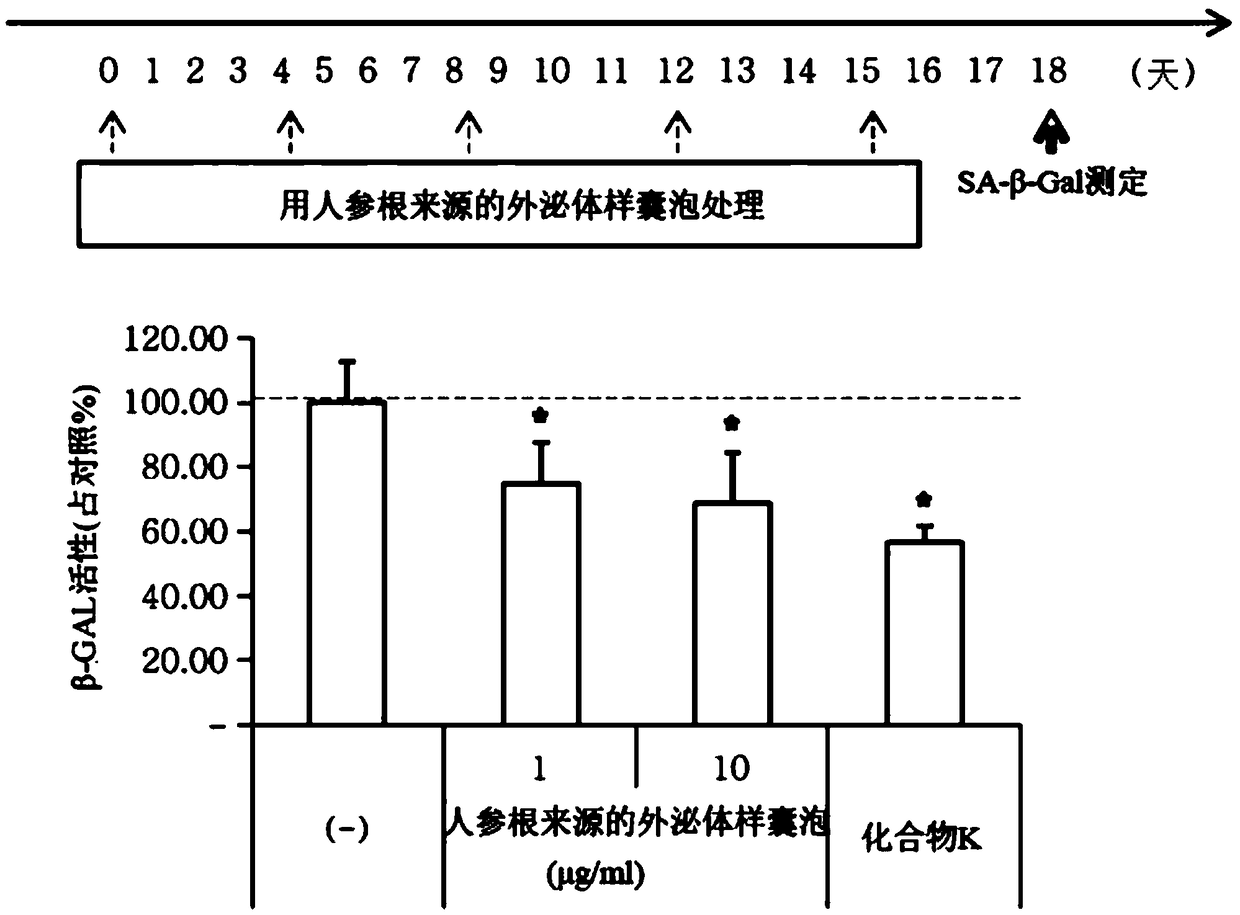 Anti-aging composition containing ginseng-derived exosome-like vesicles as active ingredient