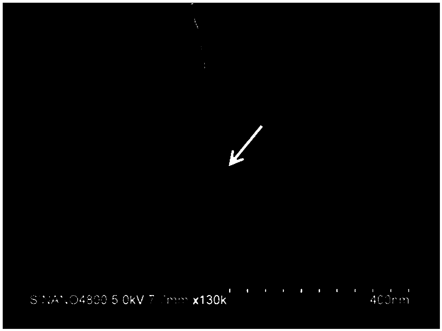 A radio frequency single electron transistor scanning probe and its application