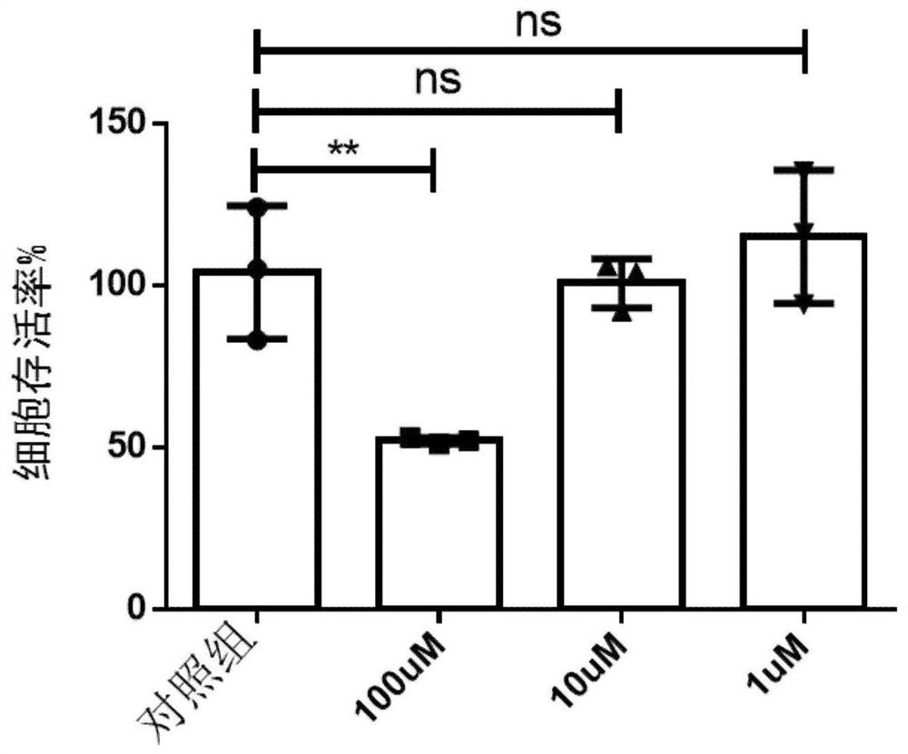 Application of bazedoxifene acetate in anti-mycobacterium tuberculosis drugs