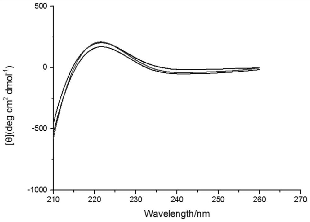 Recombinant collagen product for skin light injury repair