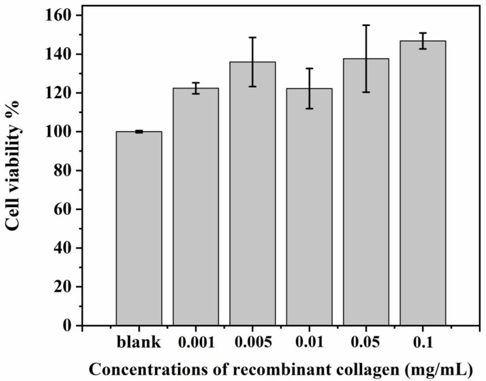 Recombinant collagen product for skin light injury repair