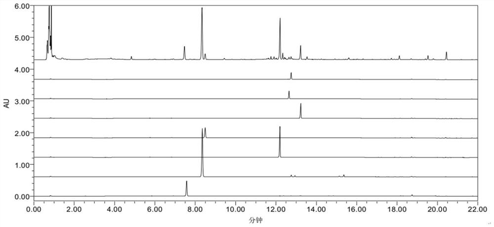 Pseudo-ginseng quality detection method based on spectrum-activity relationship