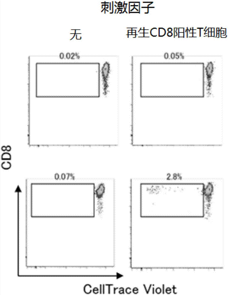 Method for inducing T cells for immunocytotherapy from pluripotent stem cells