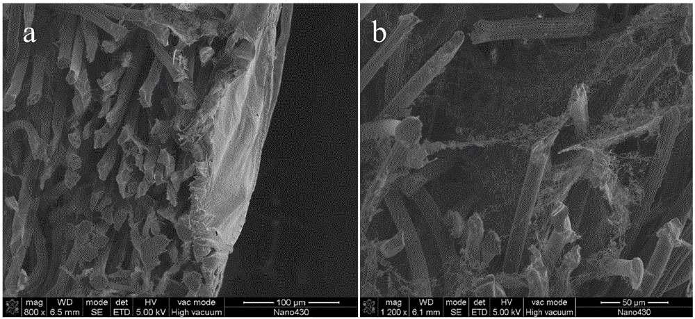 A kind of bacterial cellulose/fabric layered composite material and preparation method thereof