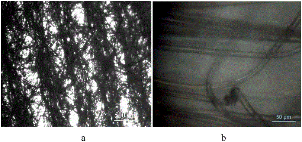 A kind of bacterial cellulose/fabric layered composite material and preparation method thereof