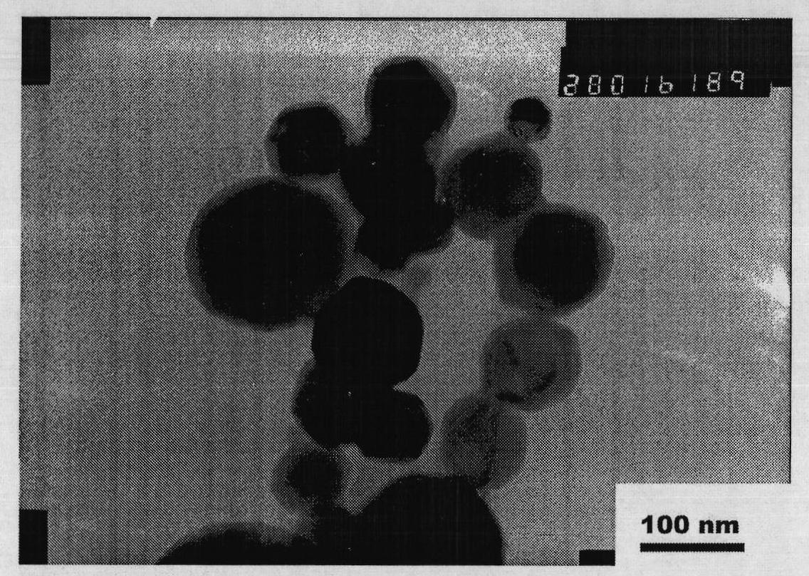 Preparation method of rare earth hydride nanoparticle