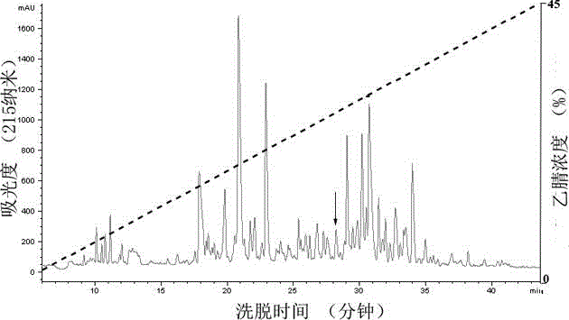 Antioxidant peptide AOP-OM1 as well as preparation method and application thereof