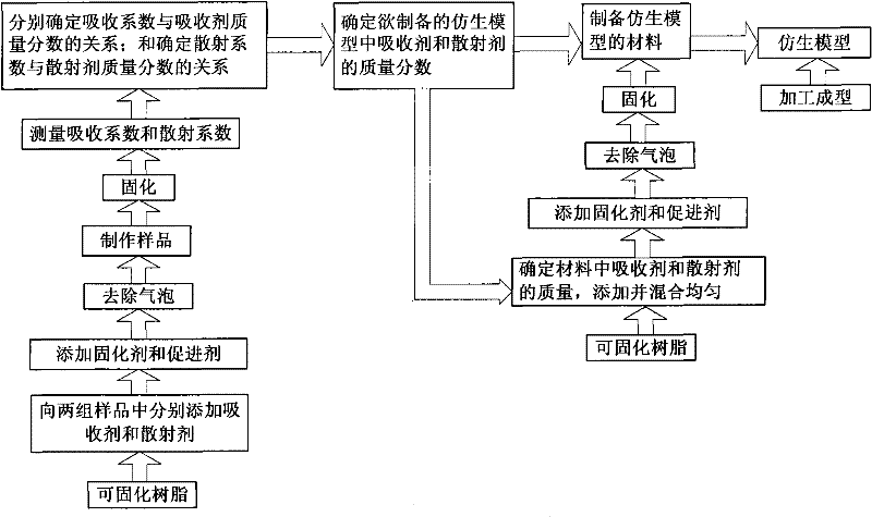 Method for preparing biological organism optical bionic material and model prepared by thereof