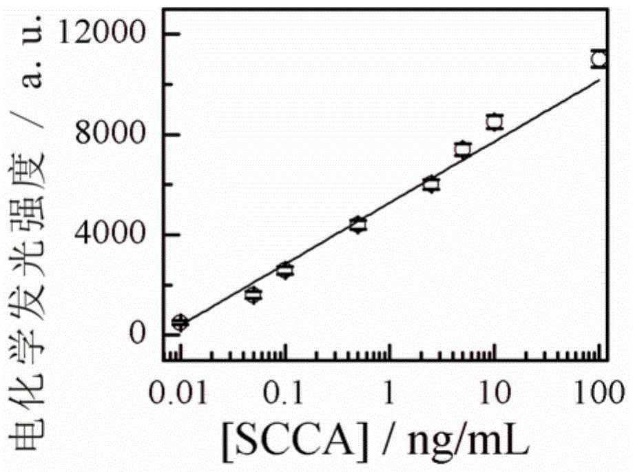 Preparation method and application of sandwich electrochemiluminescent immunosensor for detecting tumor markers