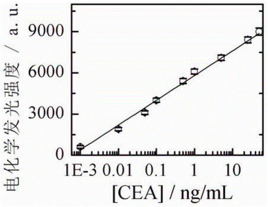 Preparation method and application of sandwich electrochemiluminescent immunosensor for detecting tumor markers