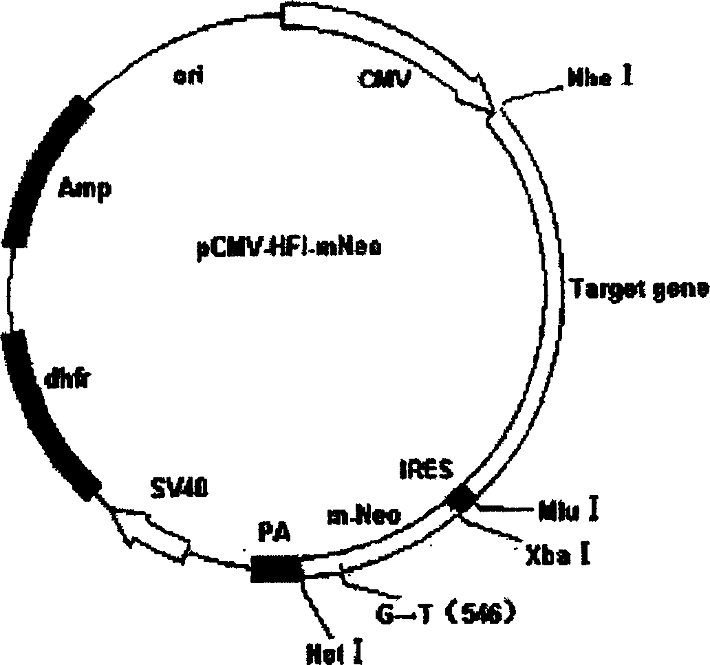 Expression carrier for high-efficient screening target protein, its preparation method and use