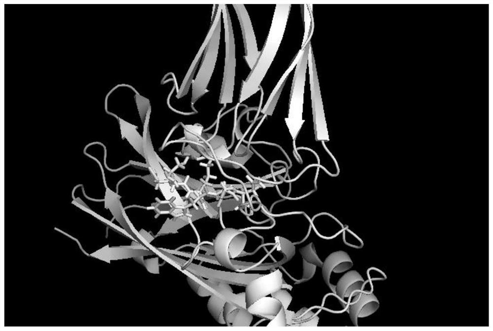 Polypeptide sequence specifically binding to avian bursal virus vp2 protein and its application