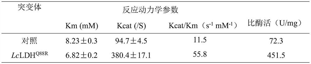 A kind of L-lactate dehydrogenase mutant with improved catalytic efficiency and its application