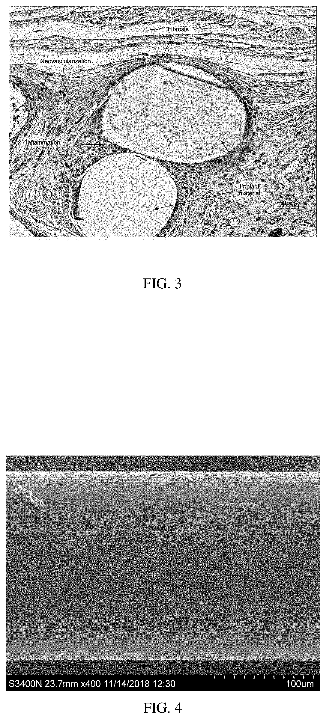 Yarns and fibers of poly(butylene succinate) and copolymers thereof, and methods of use thereof