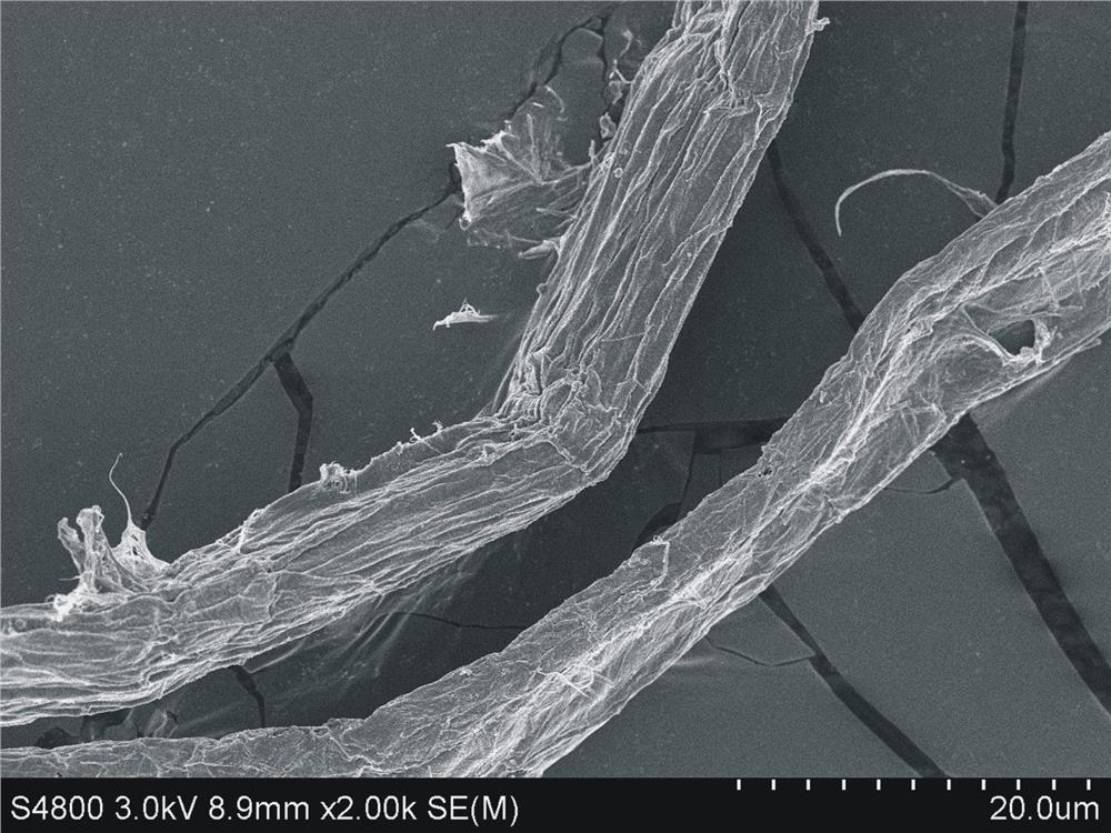 Preparation method of enzymatic wheat straw cellulose microfibrils