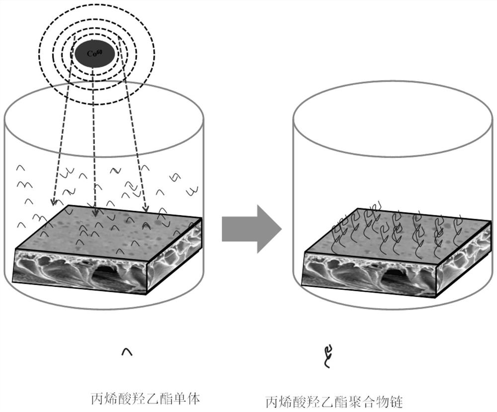 A separation membrane with pH-dependent flux under acidic conditions and preparation method thereof