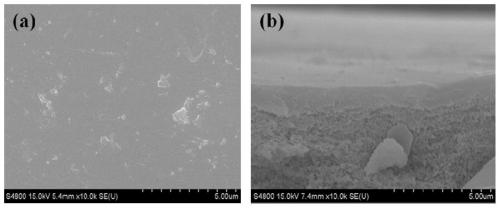 A salt dyed separation nanofiltration membrane and its preparation method and application