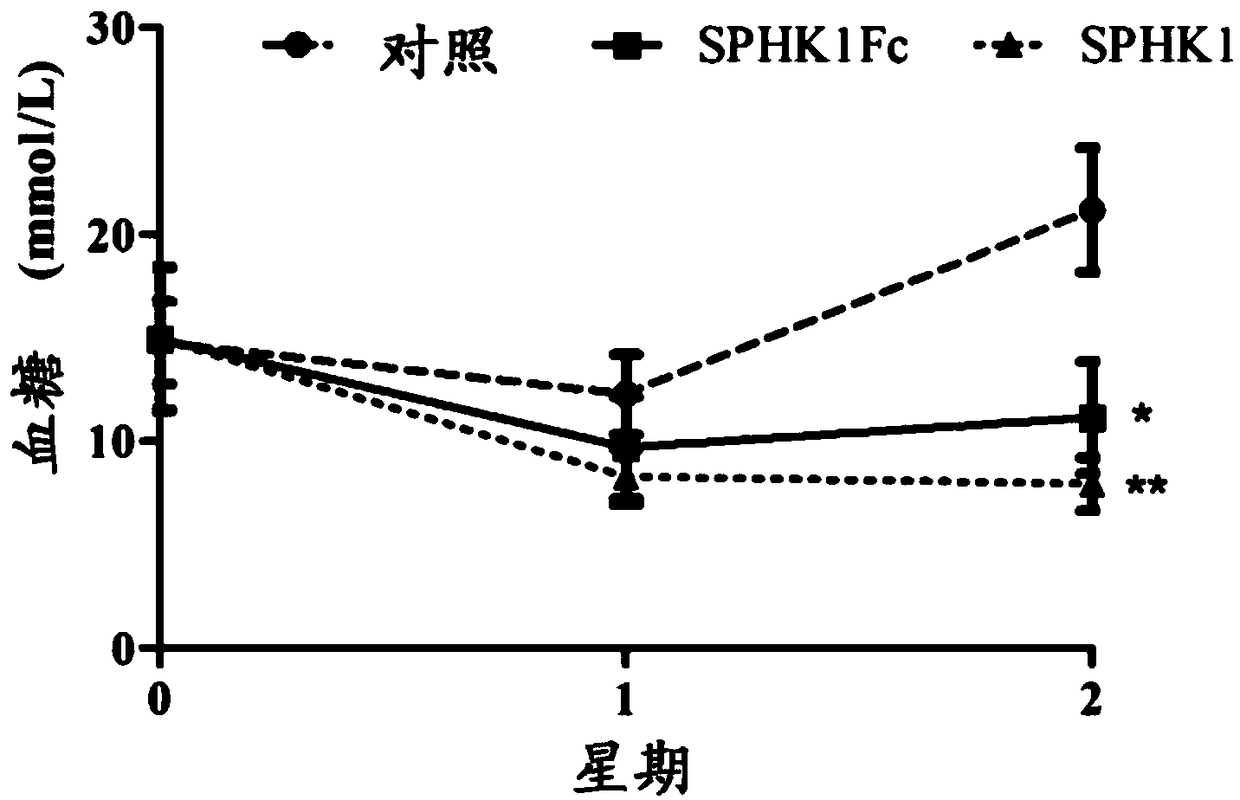 Sphingosine kinase 1 and its fusion protein and application