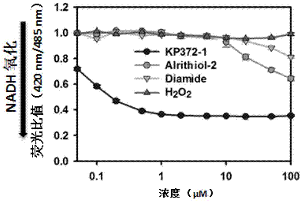 Application of indeno triazine compounds as substrate of quinone oxidoreductase depending on NAD (P) H