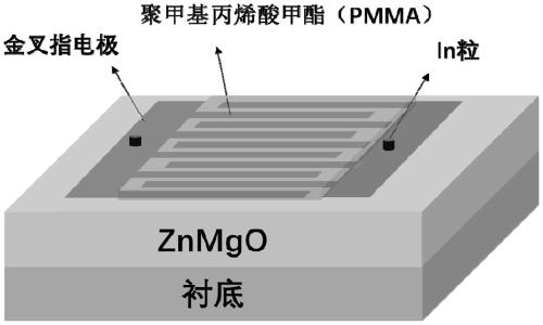 ZnMgO ultraviolet detector and preparation method thereof