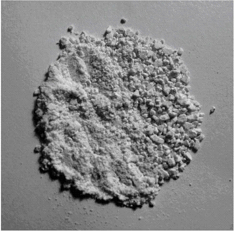 Organometallic polymer ceramic precursor, and preparation method and application thereof