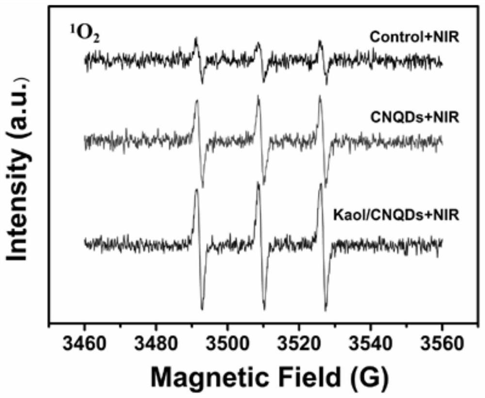 Composite kaolinite diagnosis and treatment agent as well as preparation method and application thereof