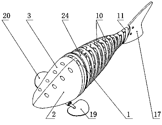 Robotic fish with independent chain-shaped tail support and snorkeling method of robotic fish