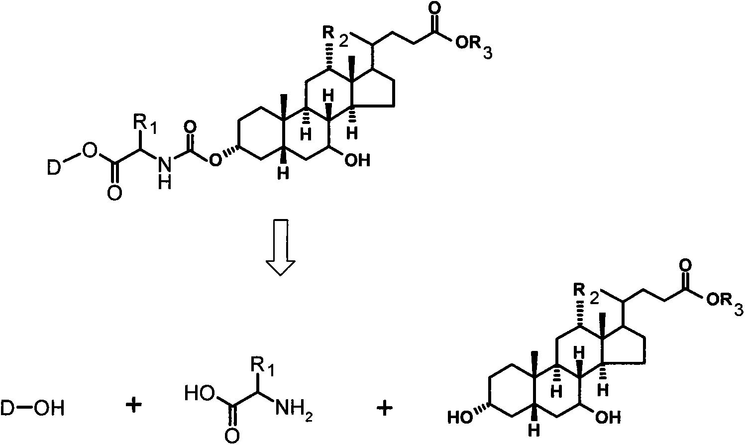 Bile acid-drug conjugate with amino acid as connexon, and medical application thereof