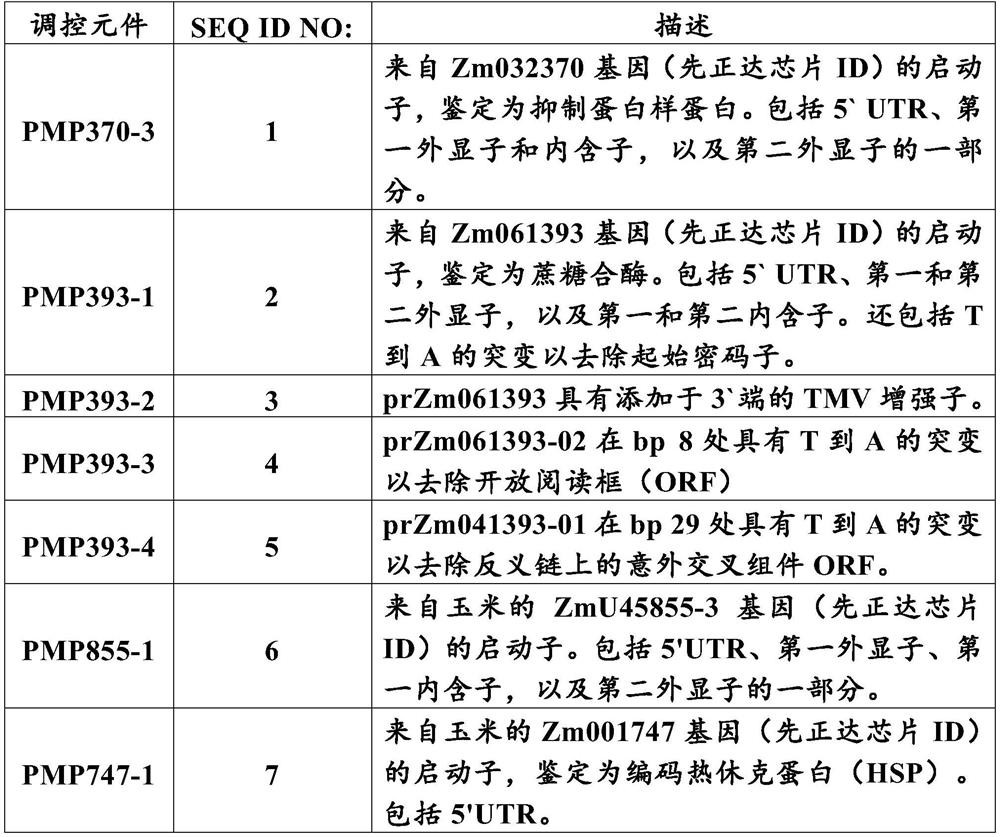 Promoters for regulating gene expression in plants