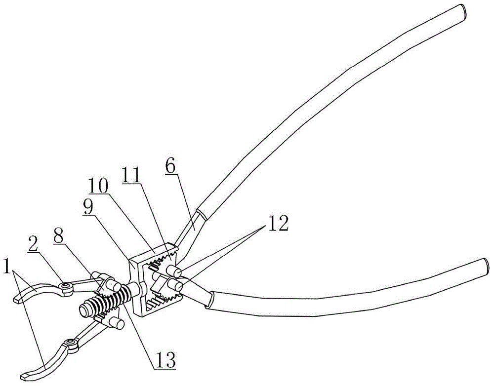 Multipurpose universal medical forceps