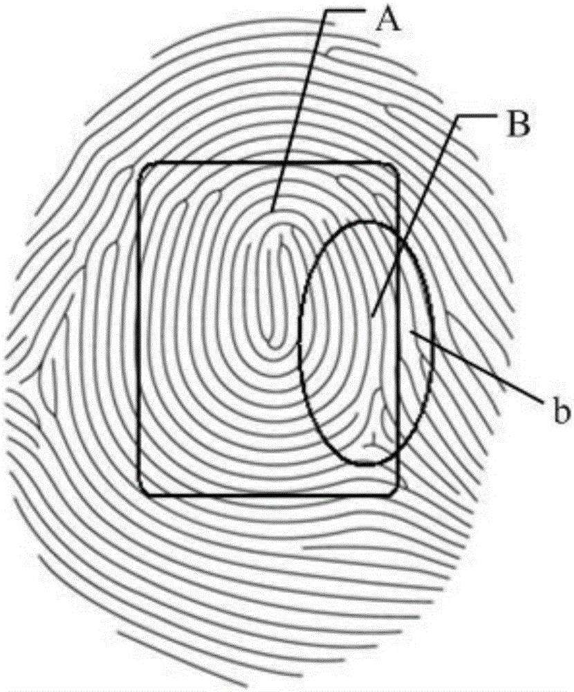 Fingerprint identification method and apparatus thereof