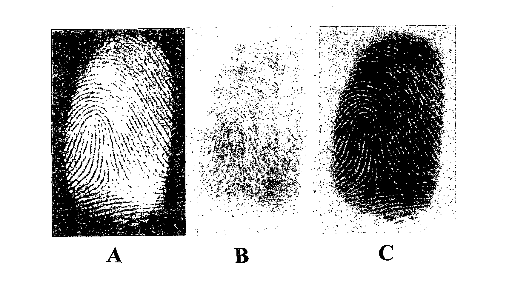 Method of developing latent fingerprints