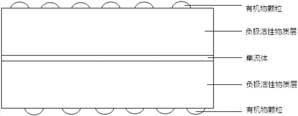 Lithium ion battery and negative plate thereof