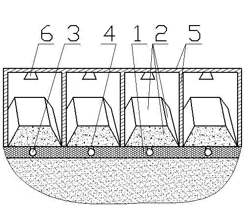 Organic-soil-planting composite-type farm