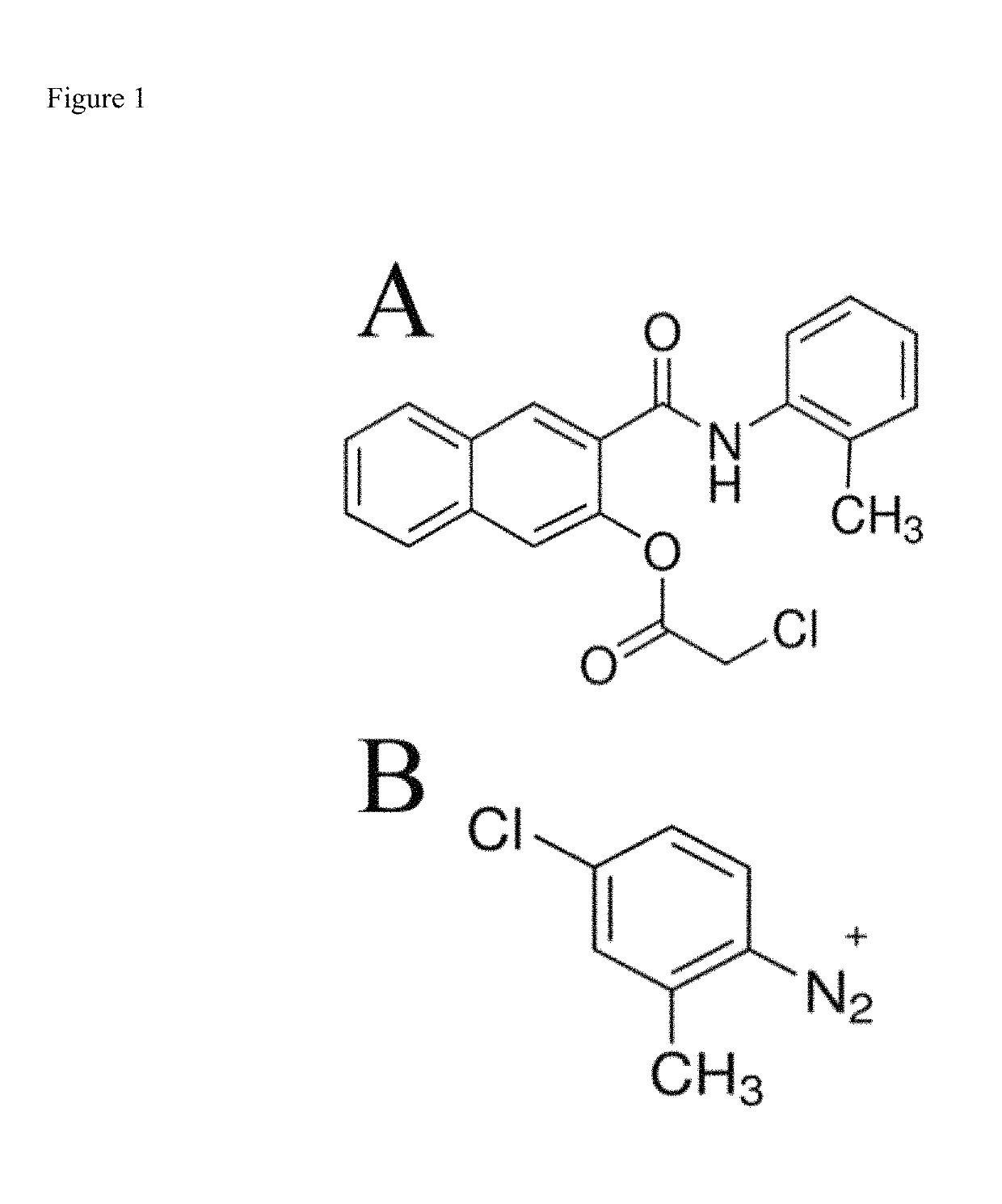 Method for the rapid and convenient detection and enumeration of neutrophils in biological samples