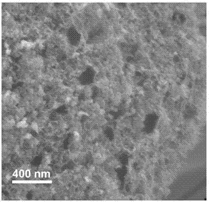 Preparation method and application of porous carbon material co-doped with N, S and P
