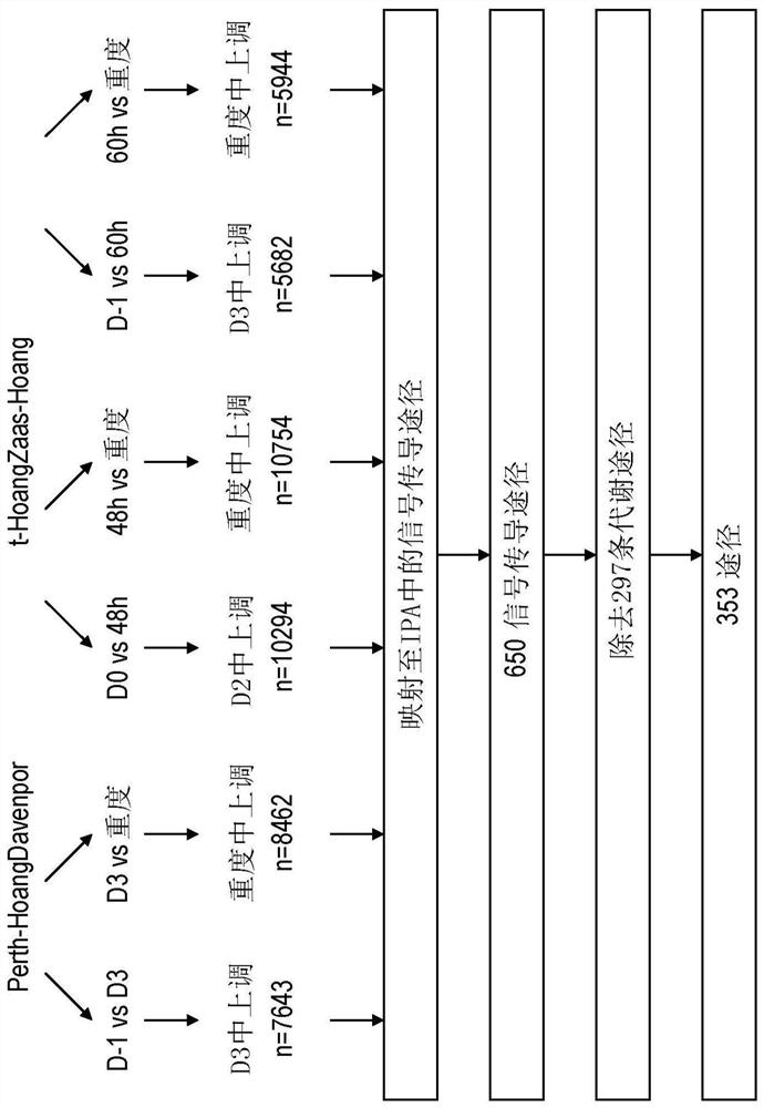 Methods and compounds for the treatment or prevention of hypercytokinemia and severe influenza