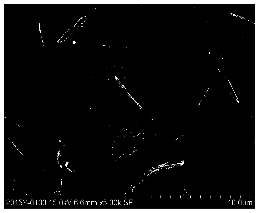 A method for detecting the morphology of silver behenate crystals in a silver salt imaging material