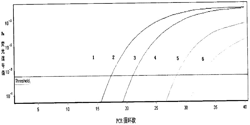 Kit for aided identification of Plum Pox virus and application thereof